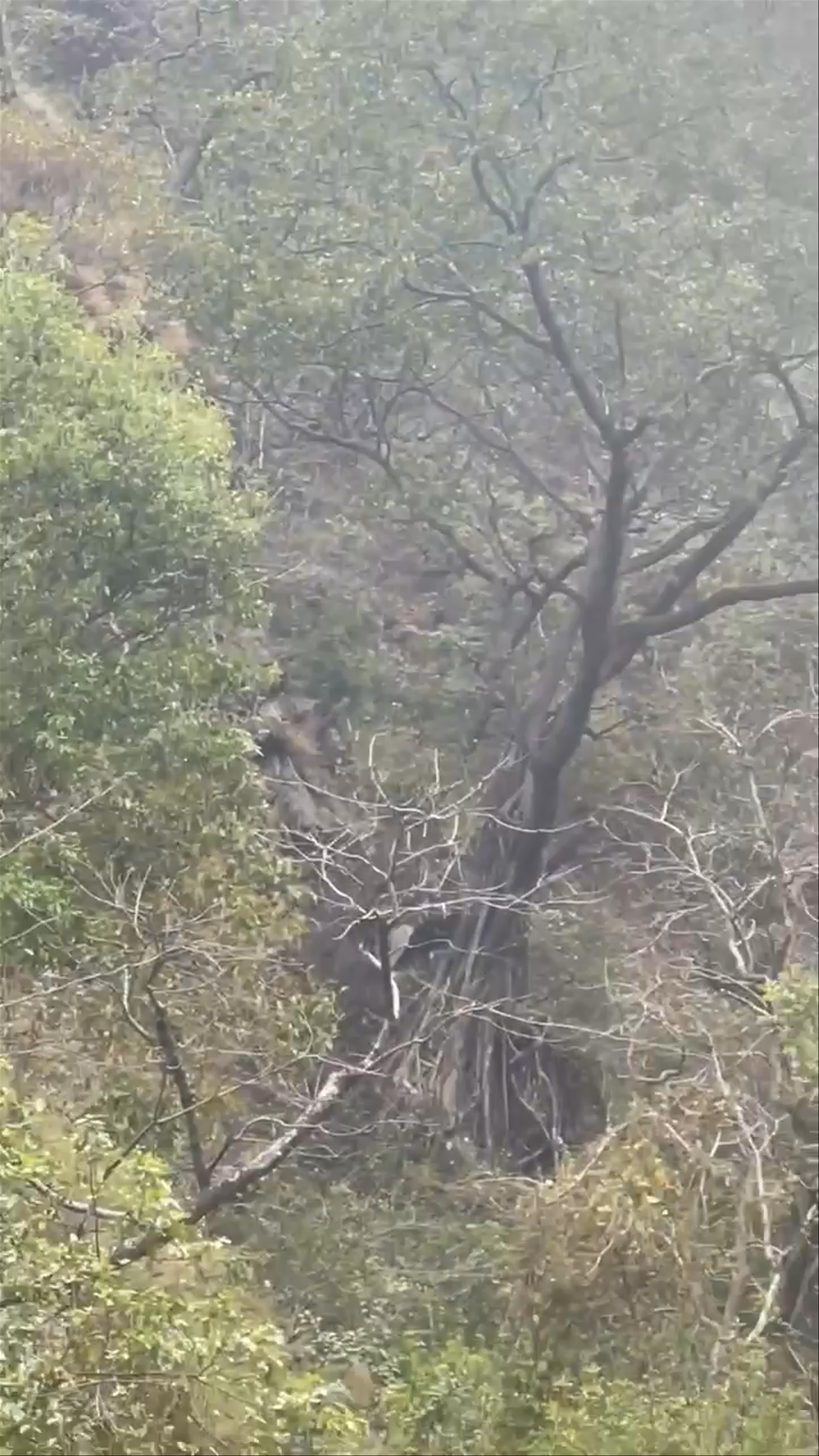 The Secret Waterfall Rishikesh - DhaulSrot