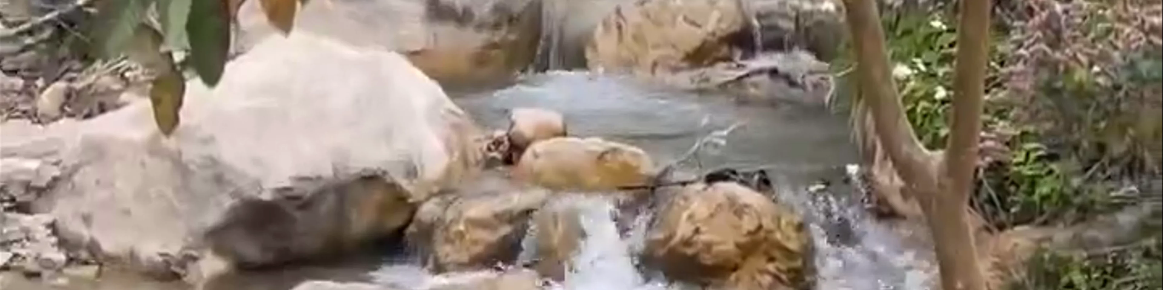 The Secret Waterfall Rishikesh - DhaulSrot