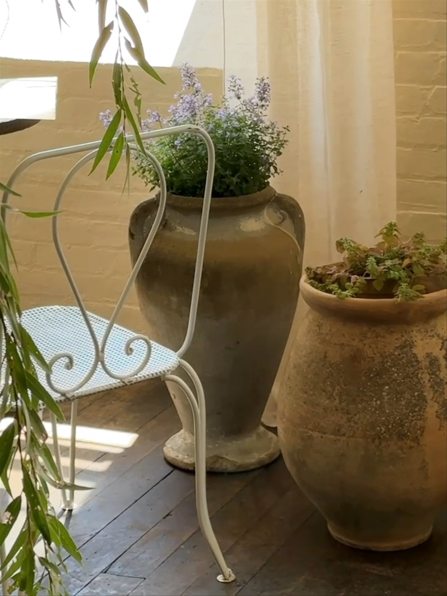Amphora Planter