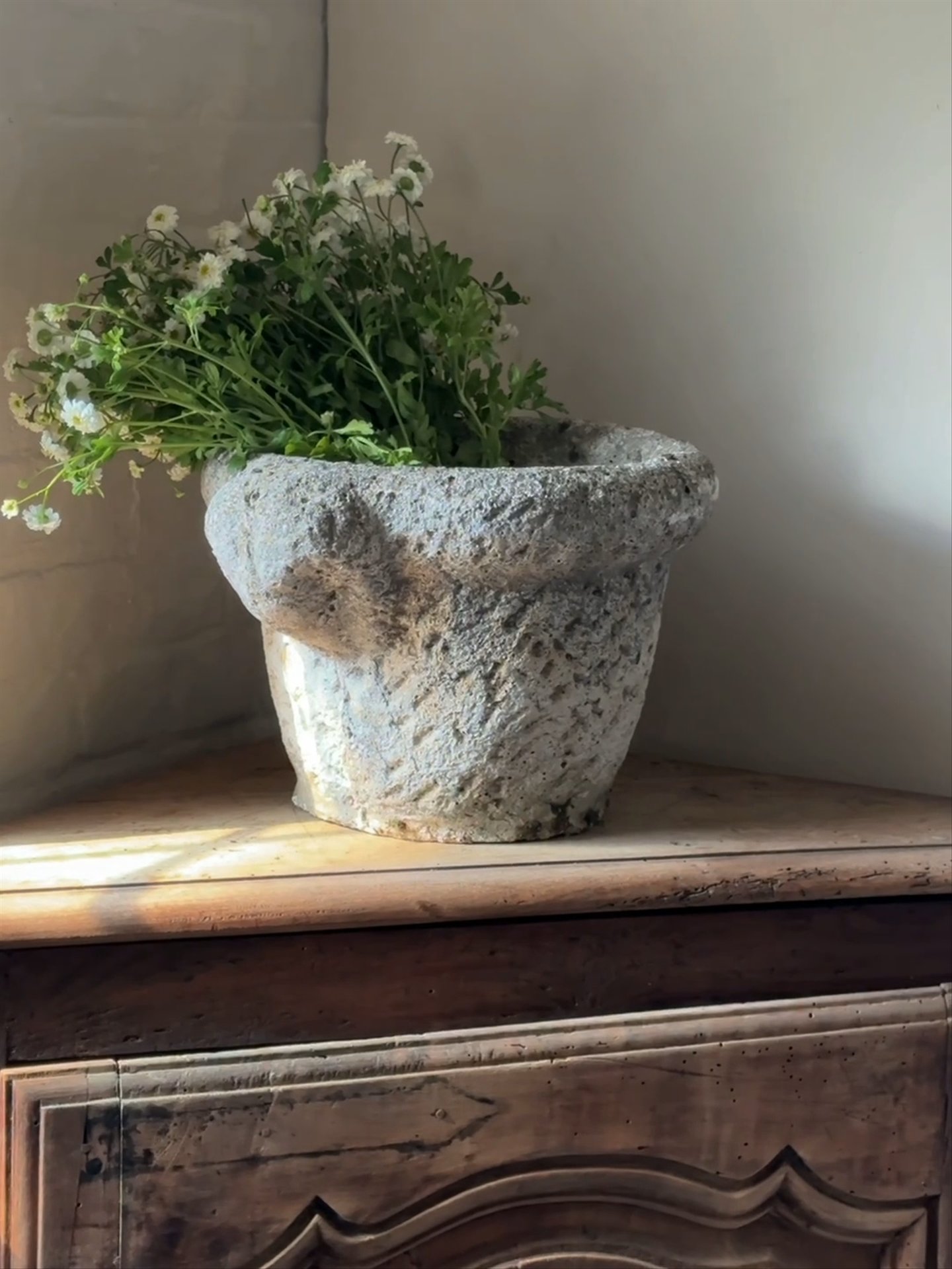 Ram Head Stone Planter