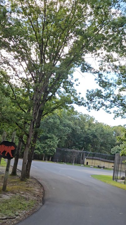 Six Flags Safari - Tiger - Amusement Parks Near Me - Jackson Township, New Jersey