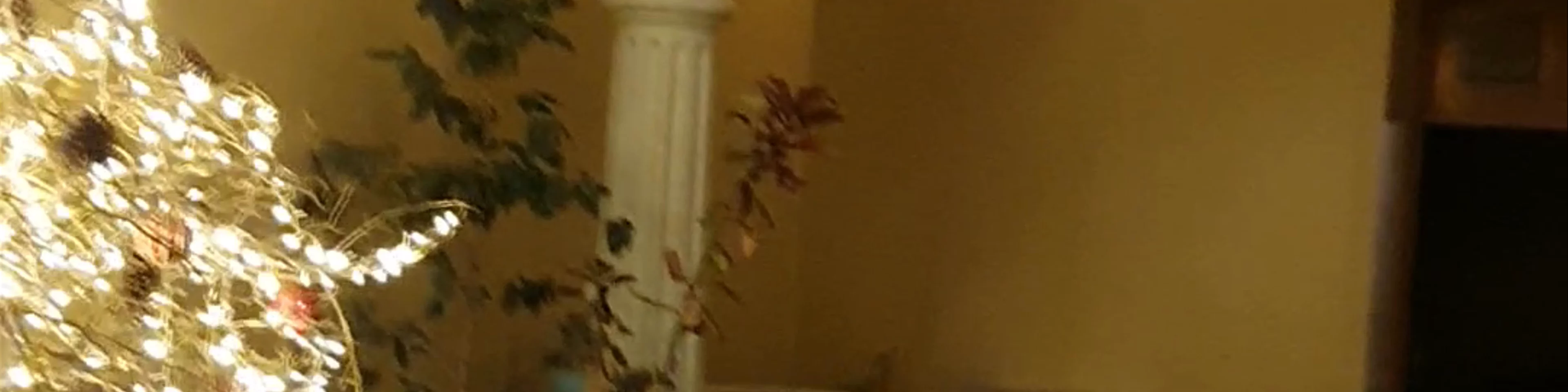 Gozobi
