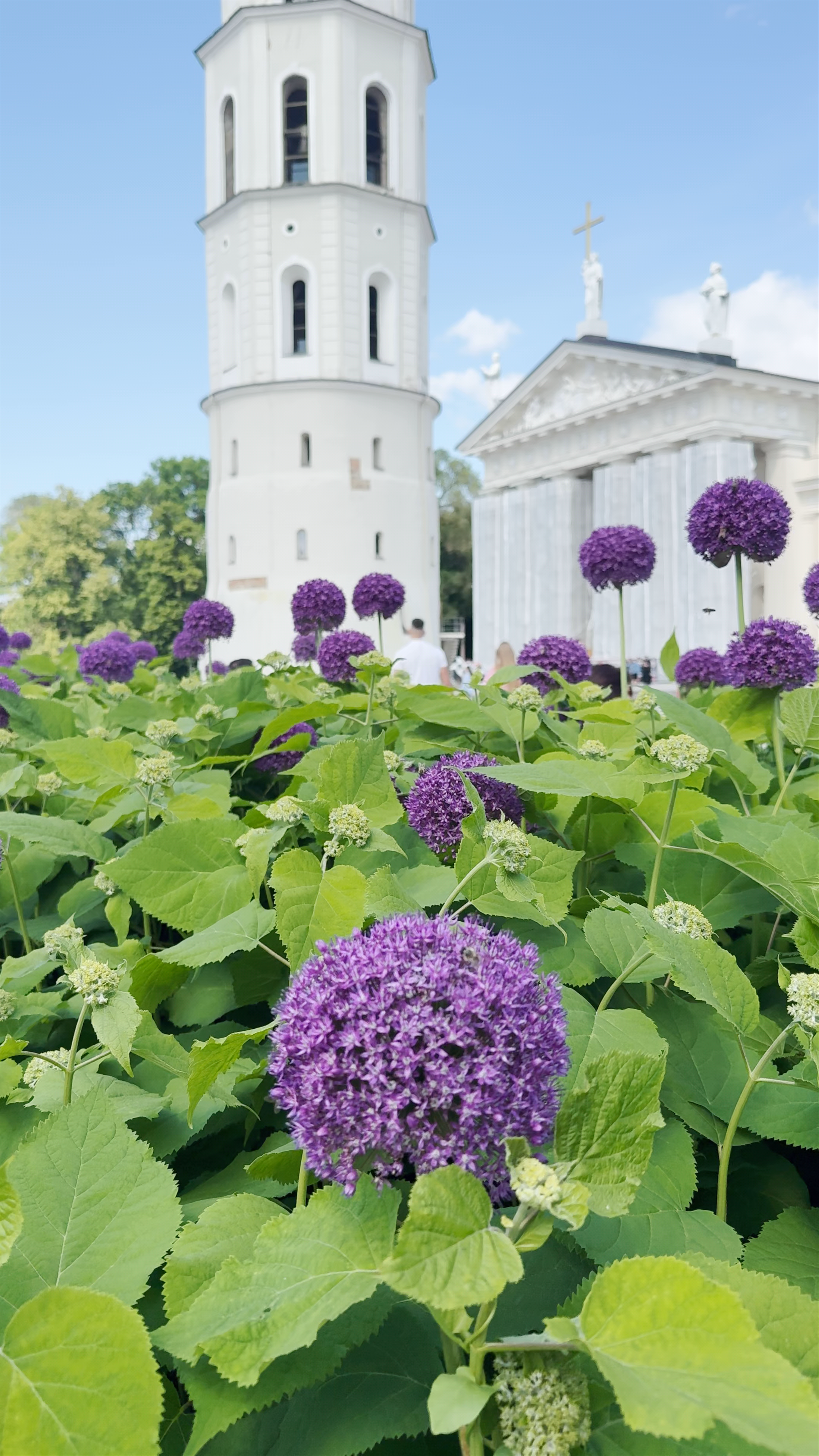 Bell Tower of Vilnius Cathedral