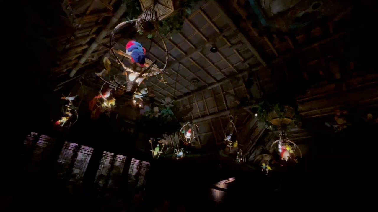 Enchanted Tiki Room - Give your feet a little rest - Amusement Parks Near Me - Anaheim, California