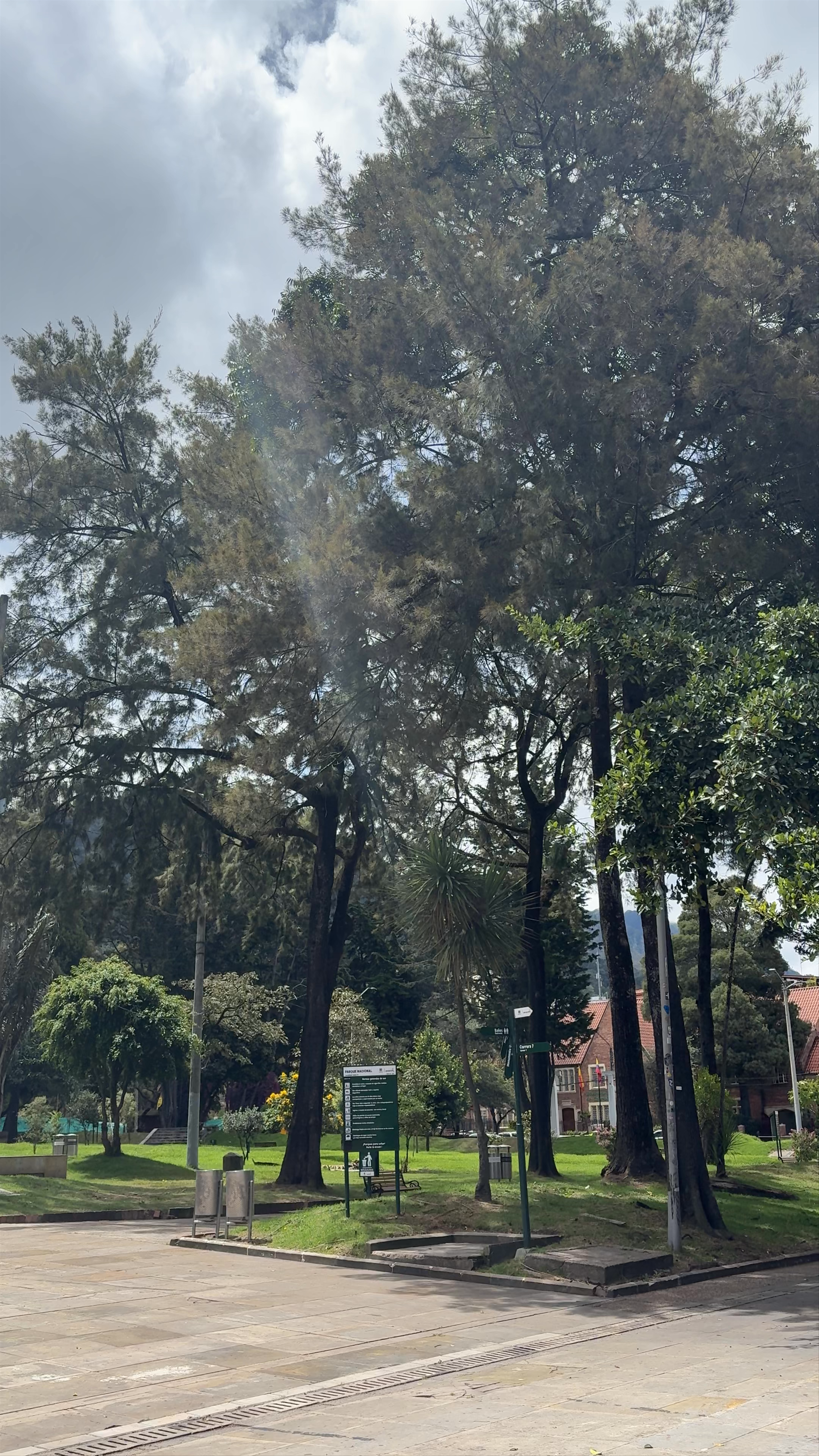 Parque Nacional Enrique Olaya Herrera