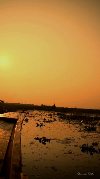 Photo of Sunset View at Borti