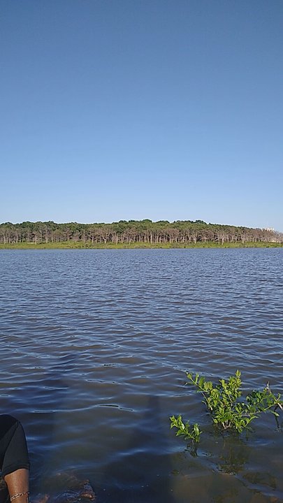 Birch Lake - Fishing Near Me