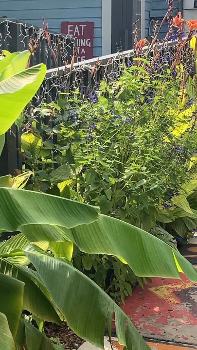 Oh My Soul - Nature - Vegan Near Me - Charlotte, North Carolina