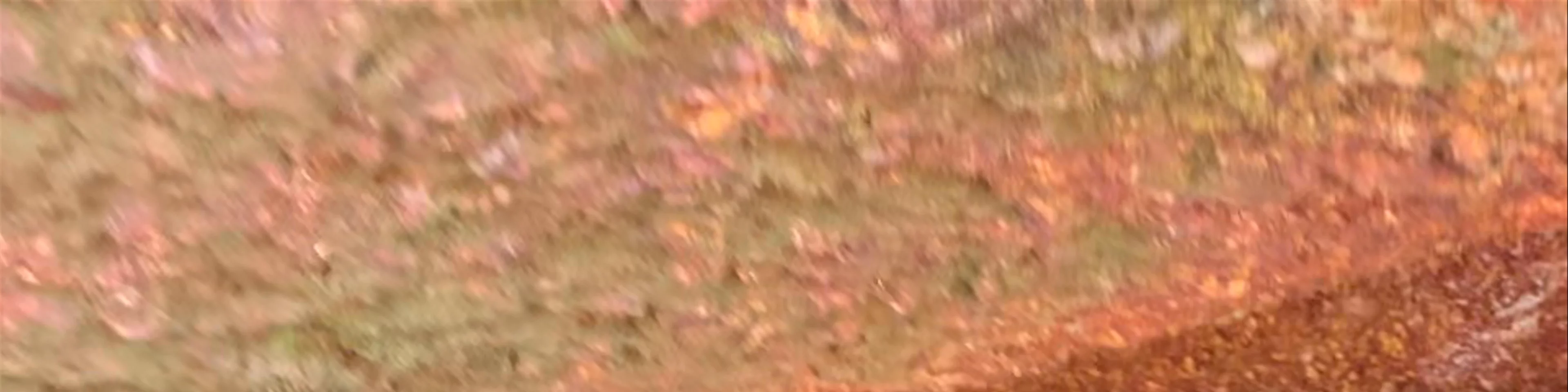 Gogarbha Cave