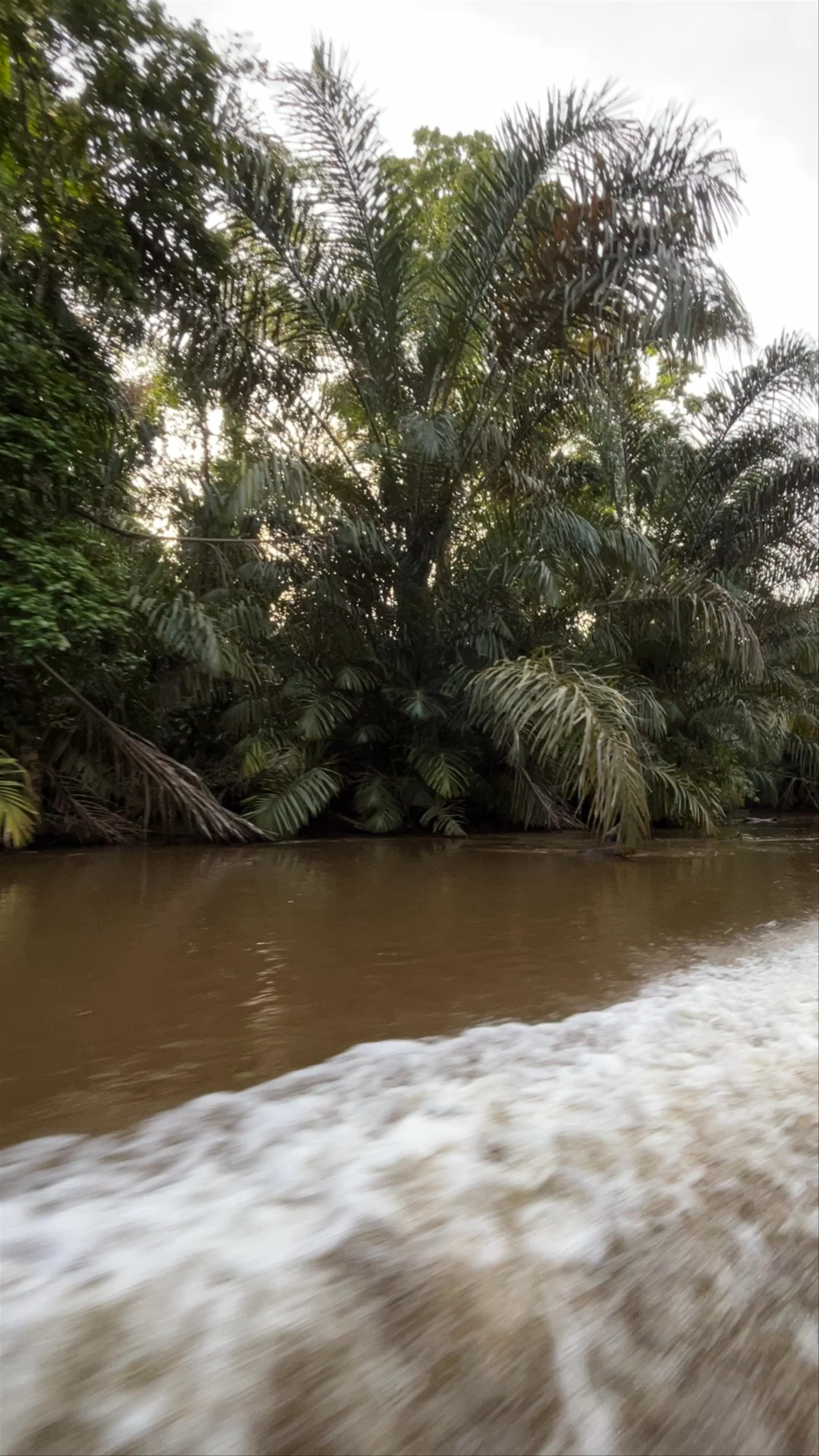 Tortuguero National Park