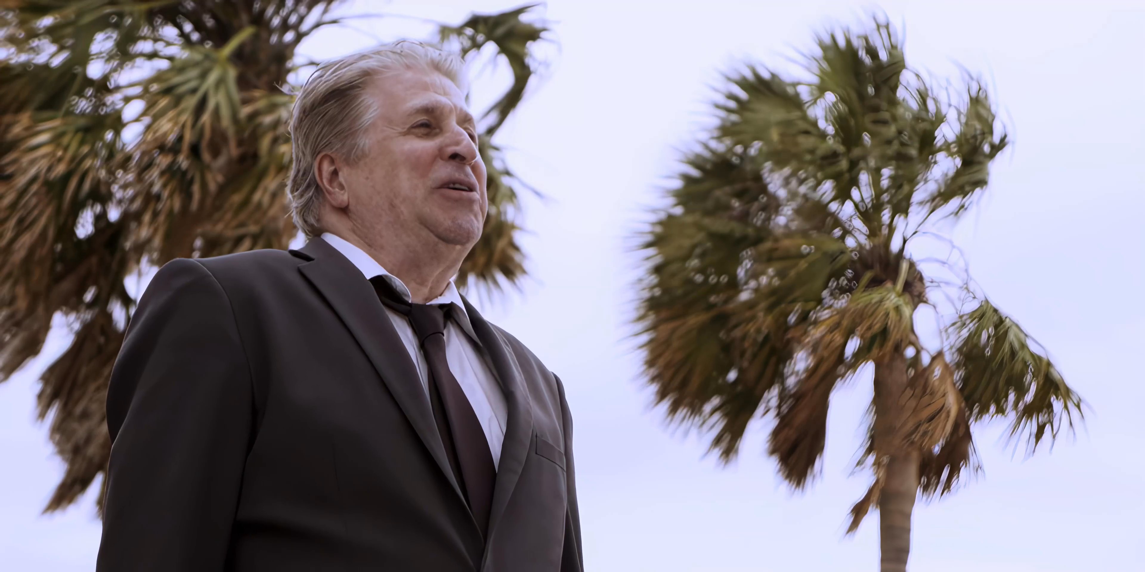 Two individuals engage in a professional conversation while standing outdoors near palm trees. One person wearing a striped shirt focuses on the camera, while an older individual in a formal suit speaks and gestures.
