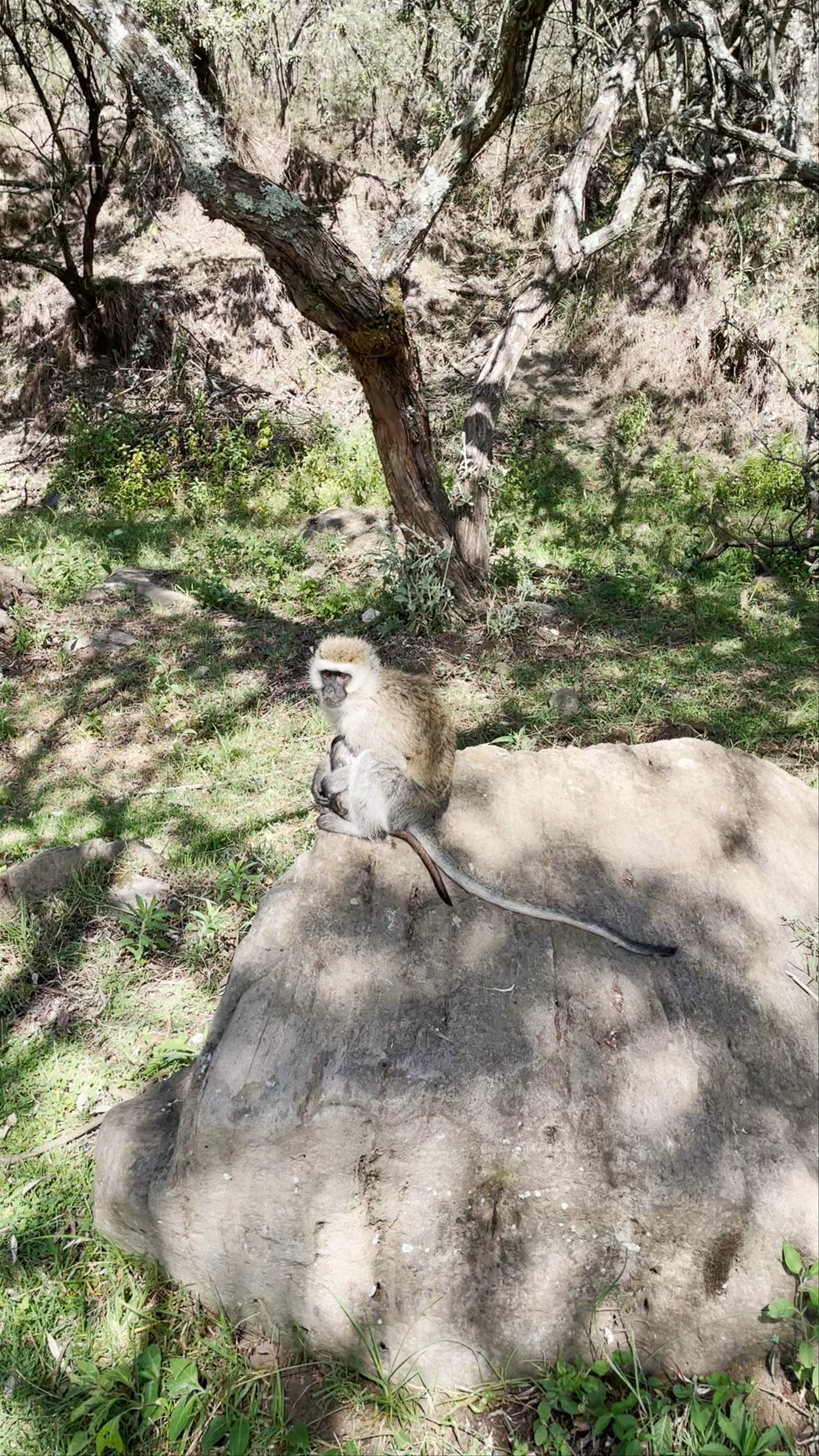 Hells Gate National Park