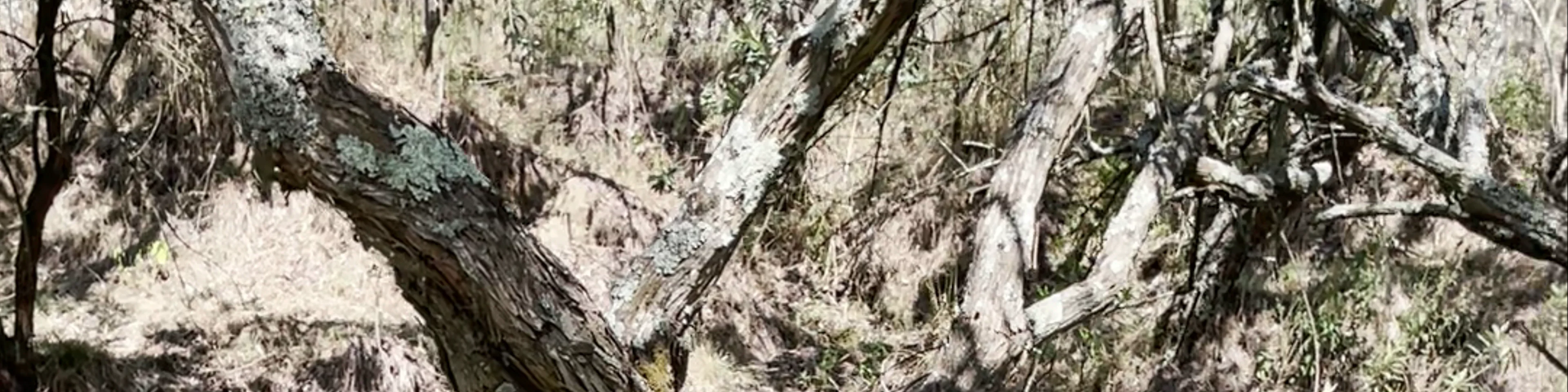 Hells Gate National Park