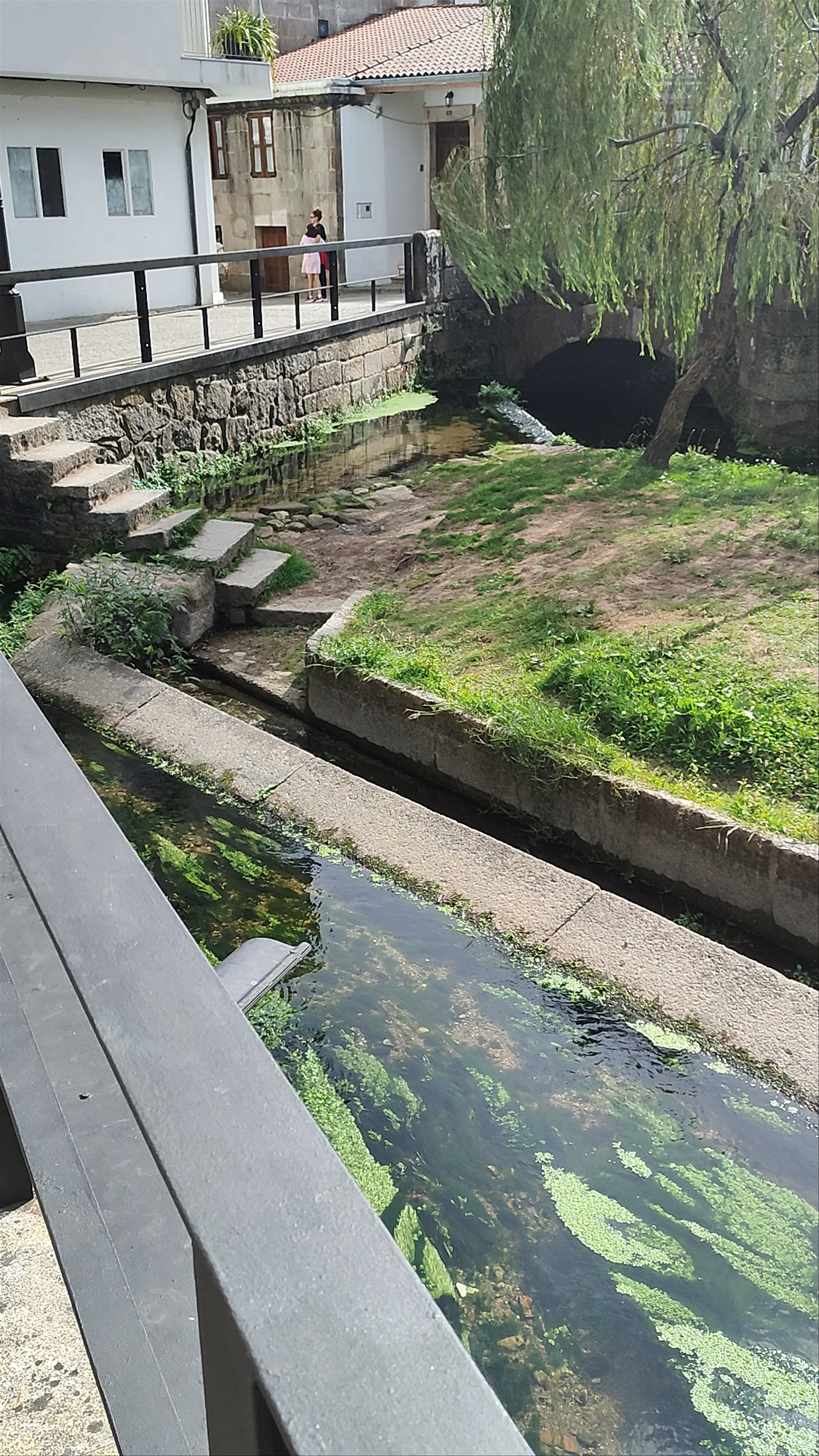 Tranquil Stroll by the Roman Bridge over Río Bermaña in Caldas de Reis