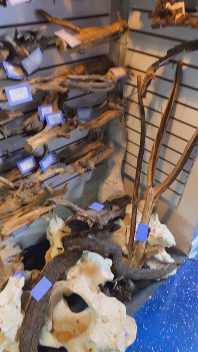 Petworld - Aquarium Services Near Me - Haltom City, Texas