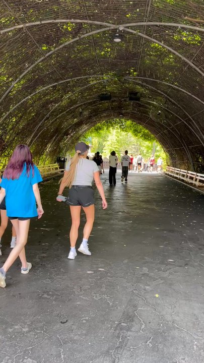 Six Flags St. Louis - Tunnel - Amusement Parks Near Me - Eureka, Missouri