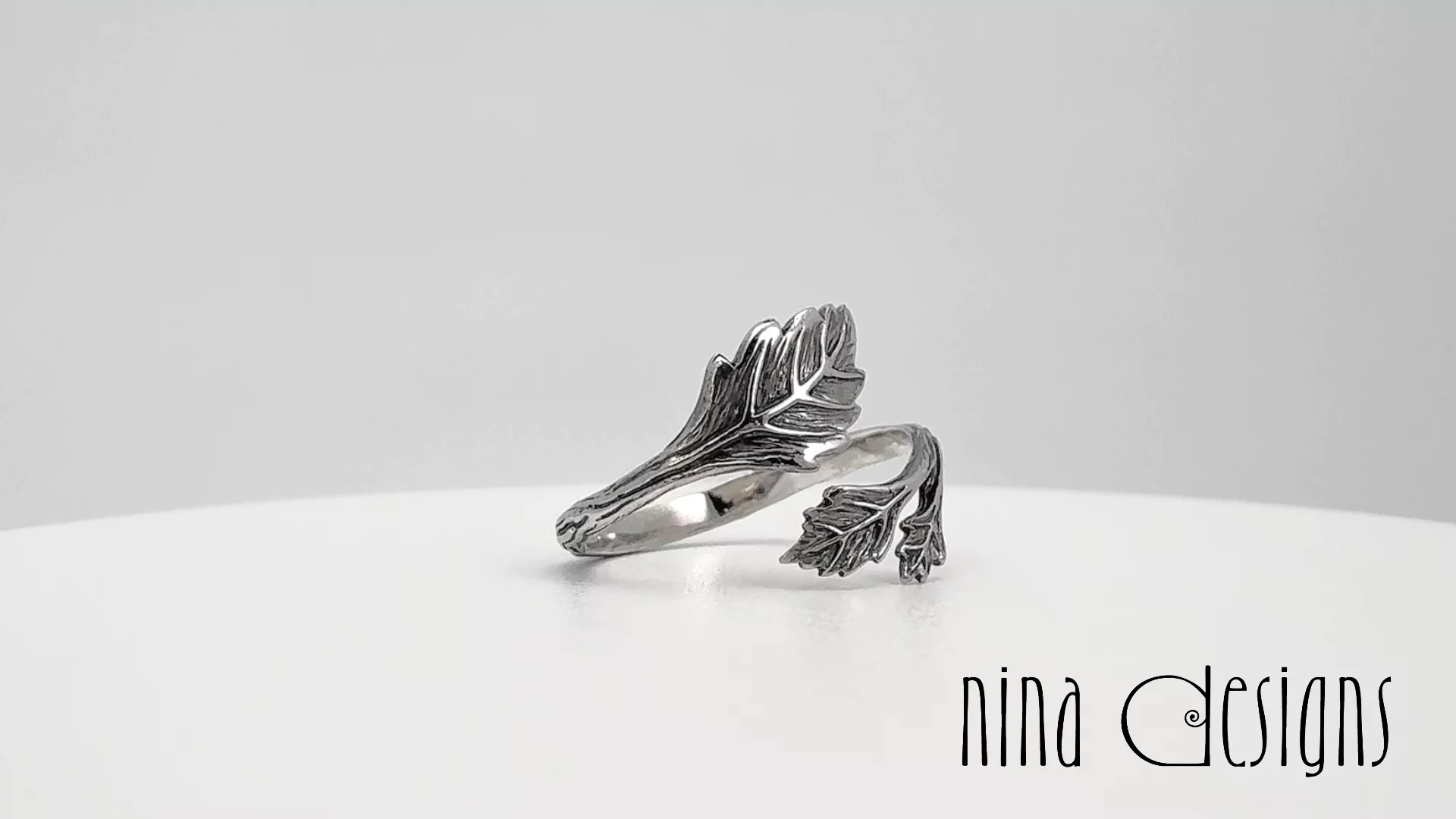 Preview image for video