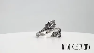 Preview image for video