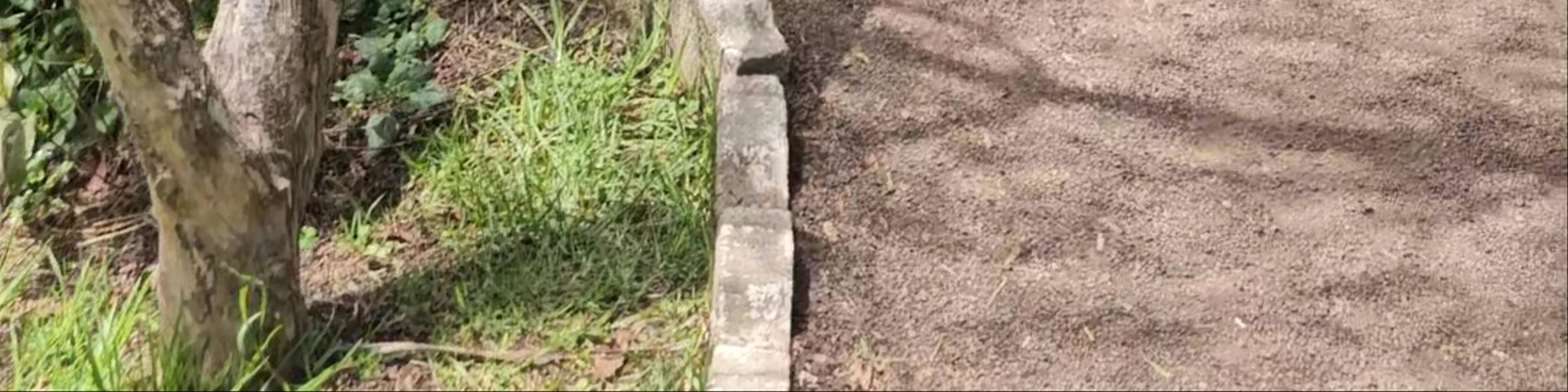 Viviendas Ancestrales - Ciudad Mitad del Mundo