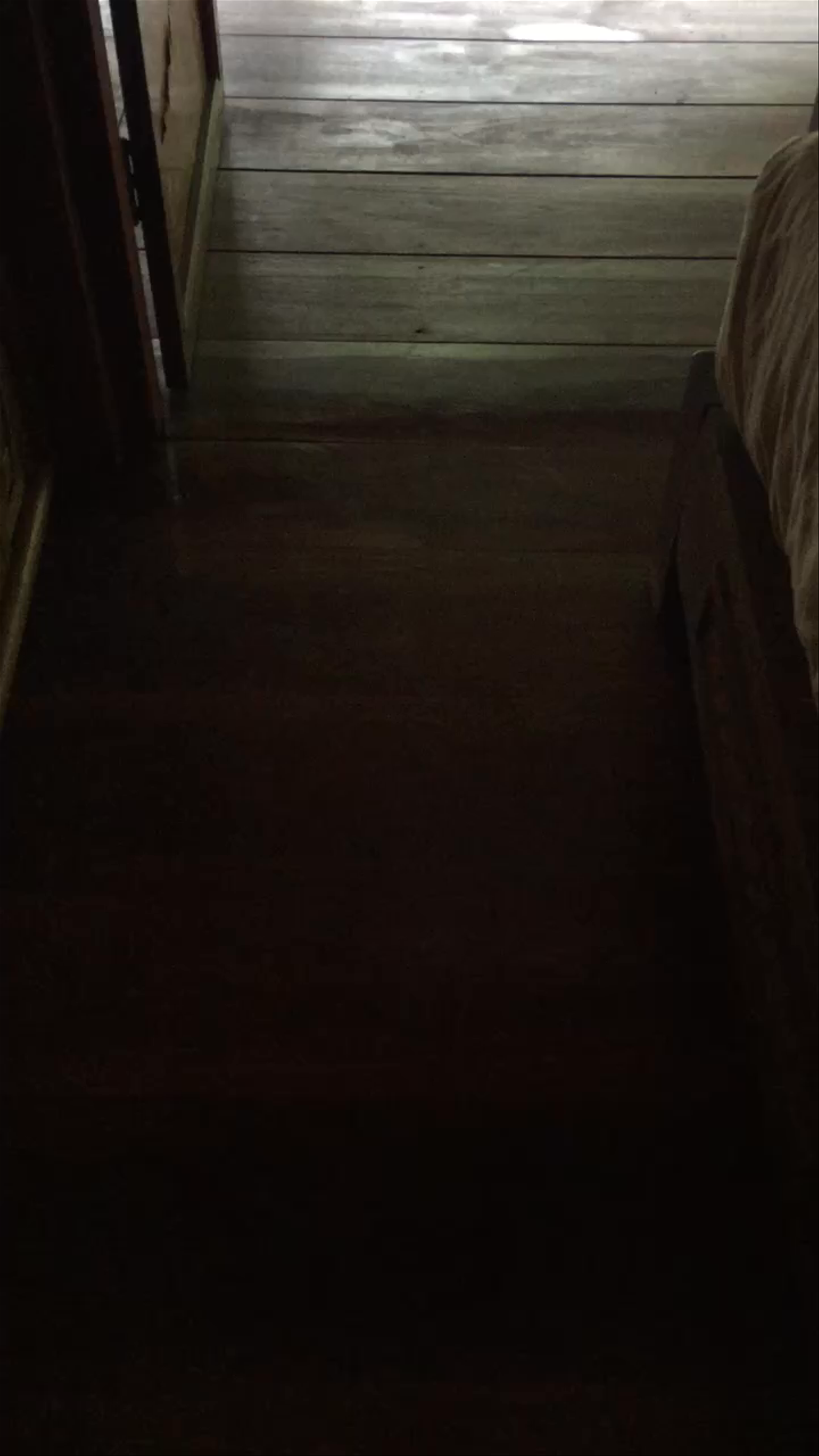 River Kwai Jungle Rafts Floating Hotel เเพ จังเกิ้ลราฟท์ รีสอร์ท กาญจนบุรี