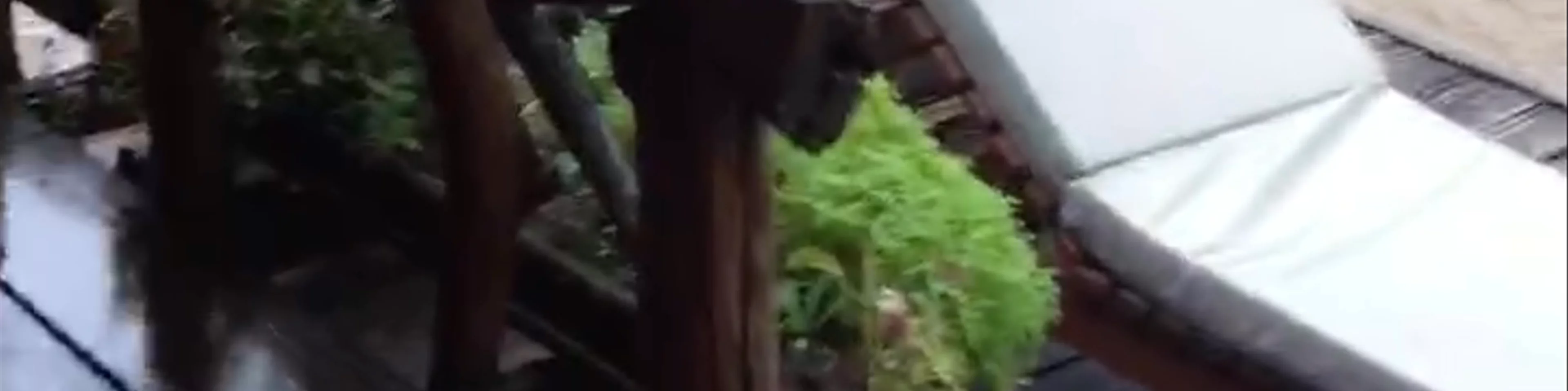 River Kwai Jungle Rafts Floating Hotel เเพ จังเกิ้ลราฟท์ รีสอร์ท กาญจนบุรี