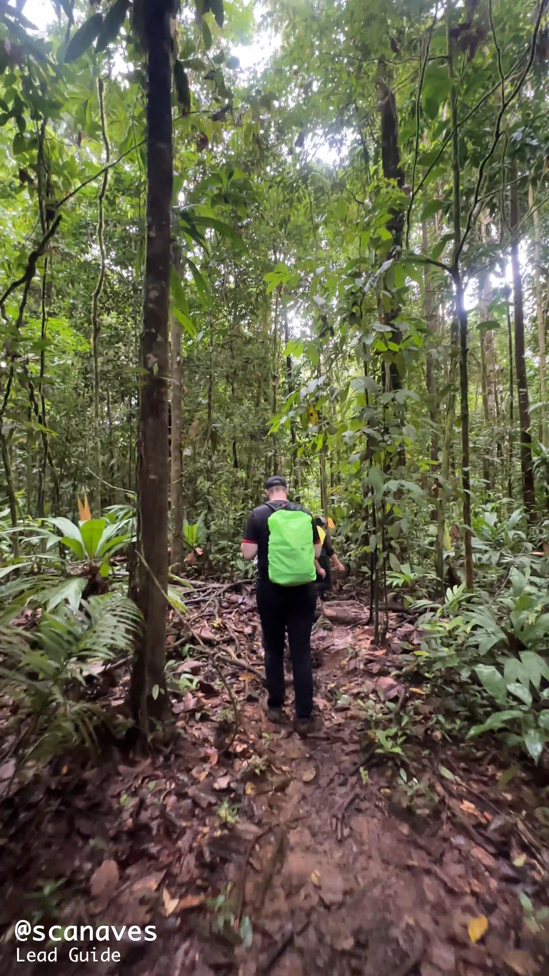 wandern-corcovado.mp4