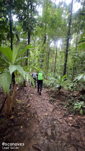 wandern-corcovado.mp4