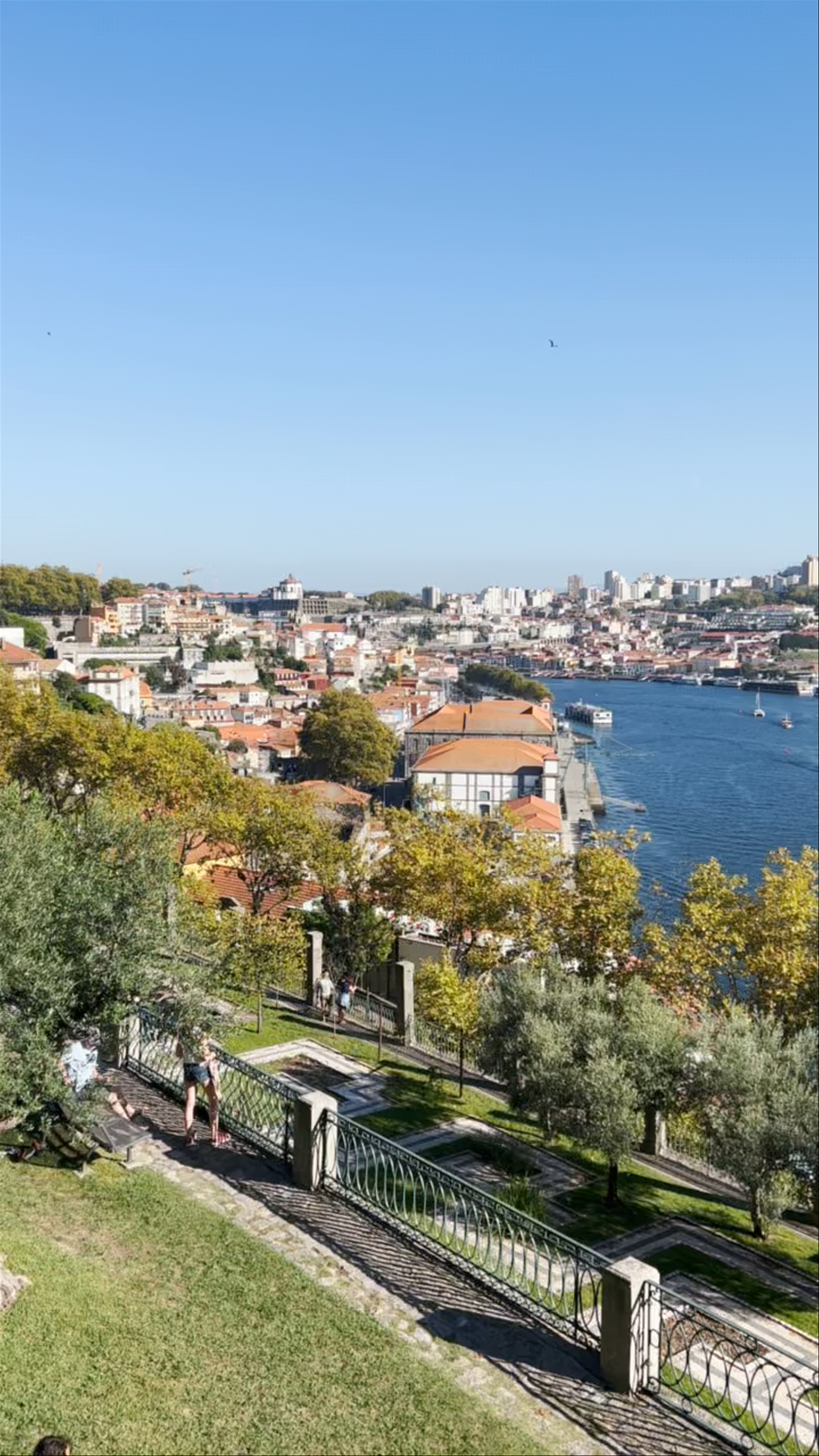 Parque da Quinta da Macieirinha