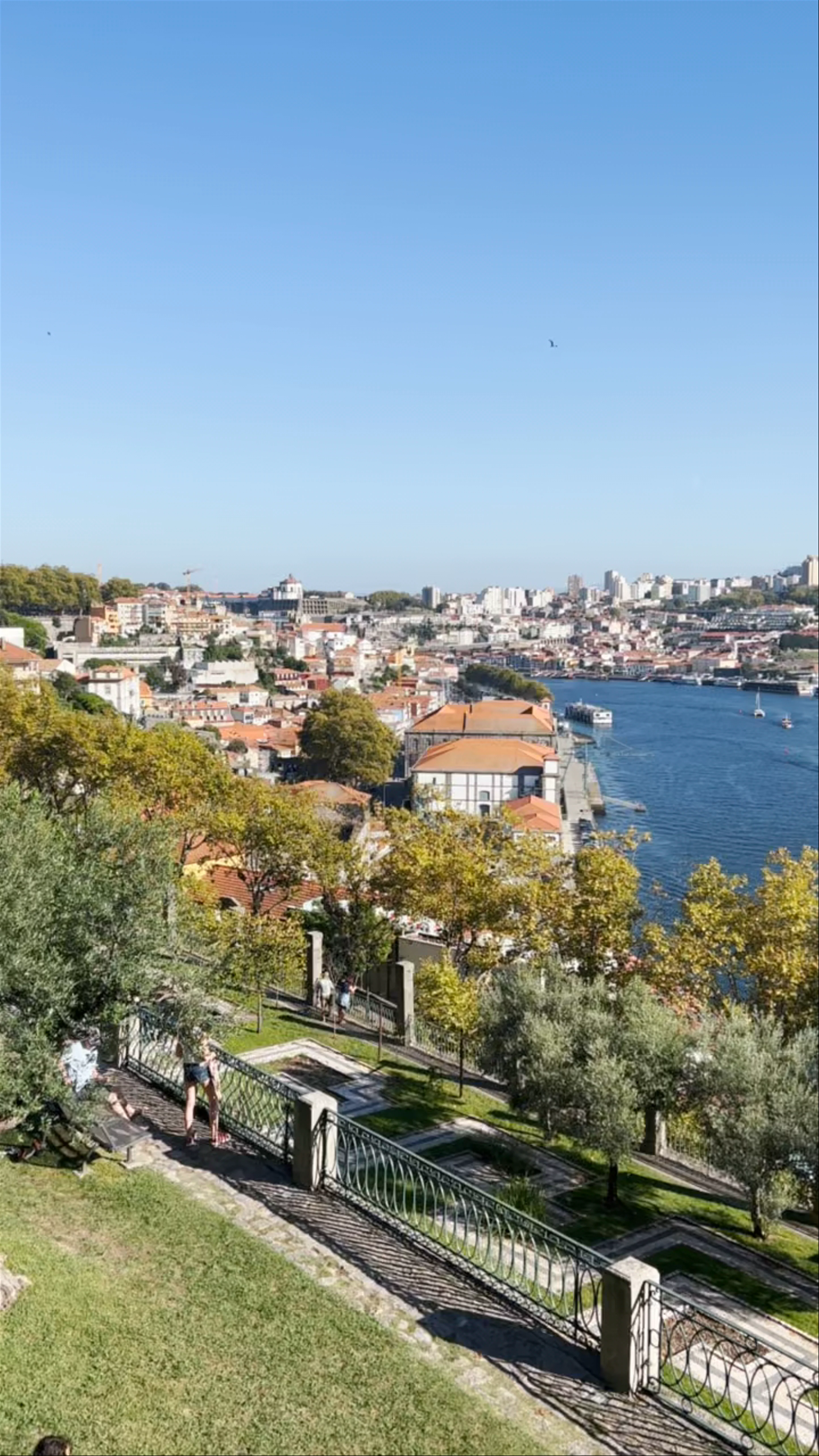 Parque da Quinta da Macieirinha