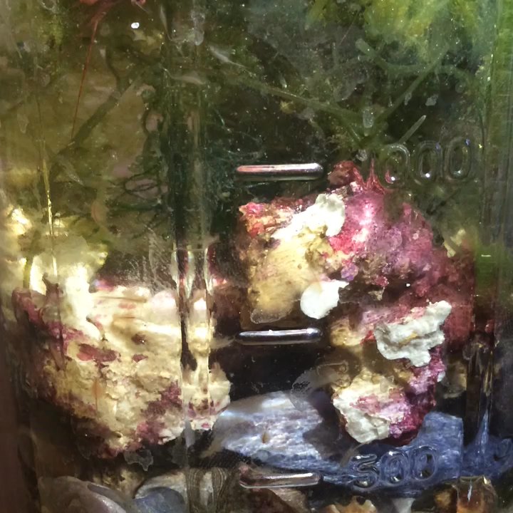 Easy Aquariums - Live action - Aquariums Near Me - Westbrook, Maine