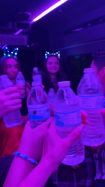 Global Car Services - So fun! - Party Bus Rentals Near Me - Los Angeles, California