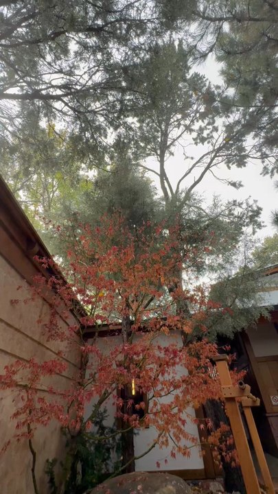 Ten Thousand Waves - View from the Ichiban tub! - Hotels Near Me - Santa Fe, New Mexico