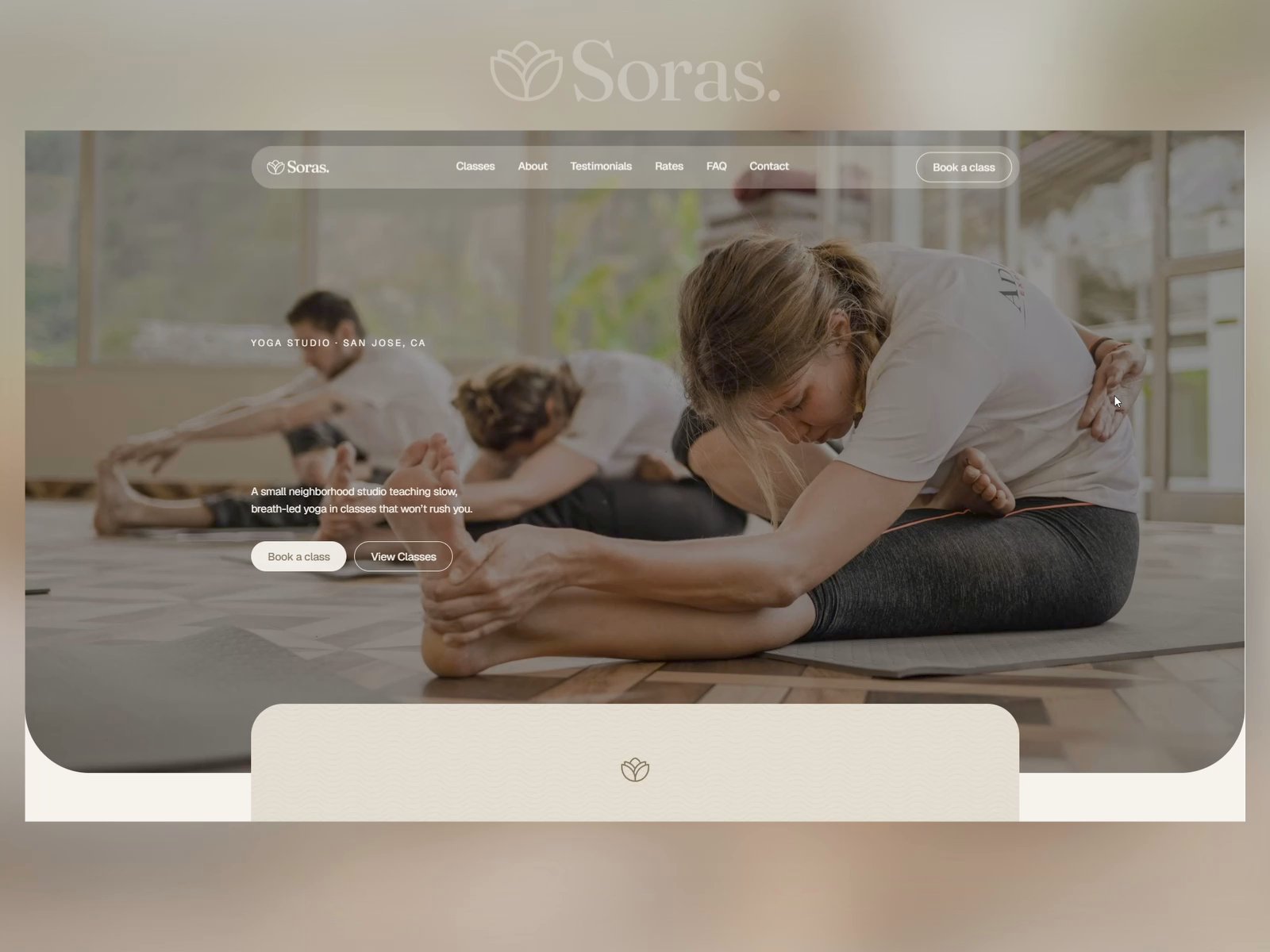 Soras
