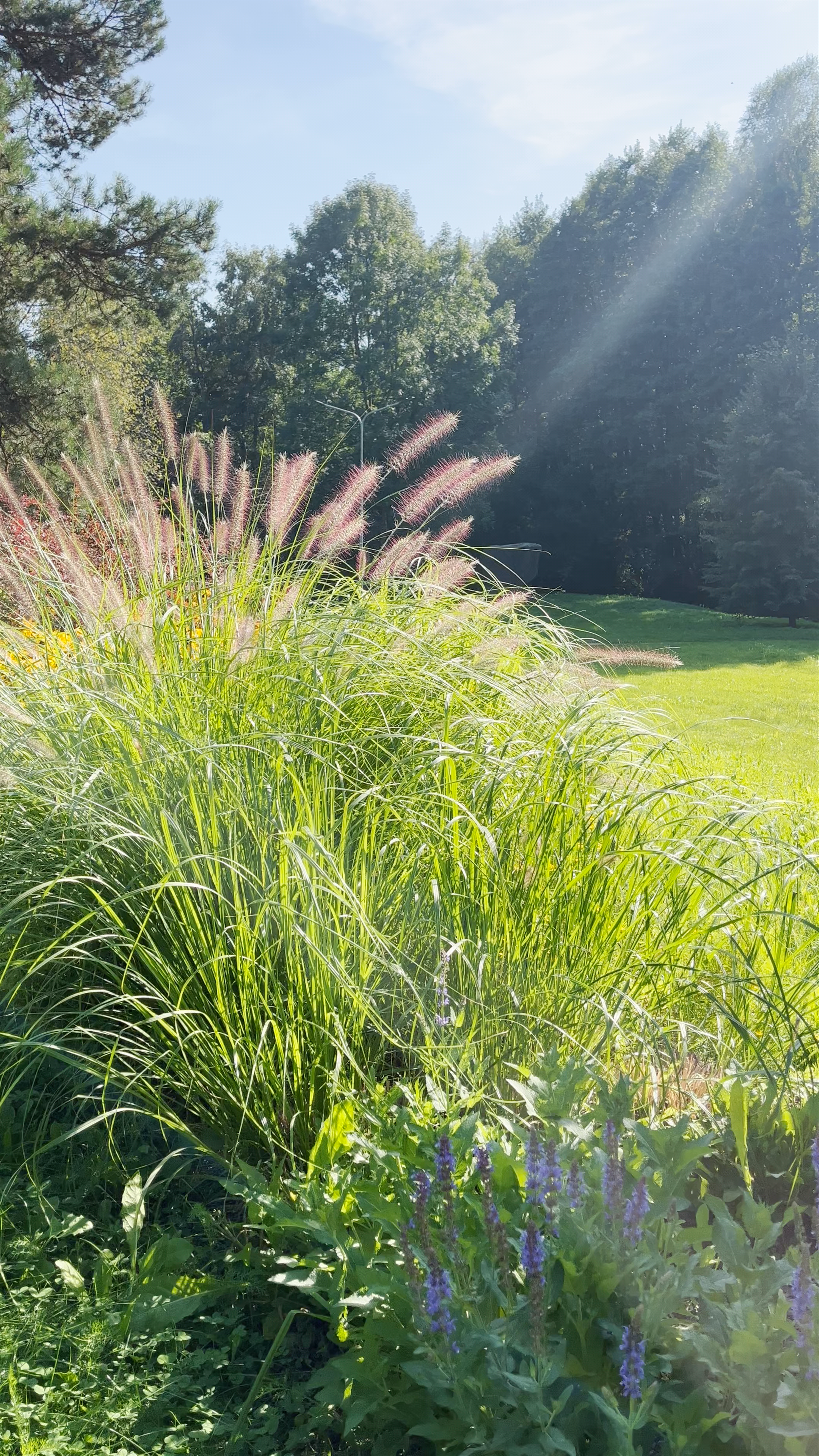 Līgo Parks, Ulbroka: A Serene Summer Escape in Latvia