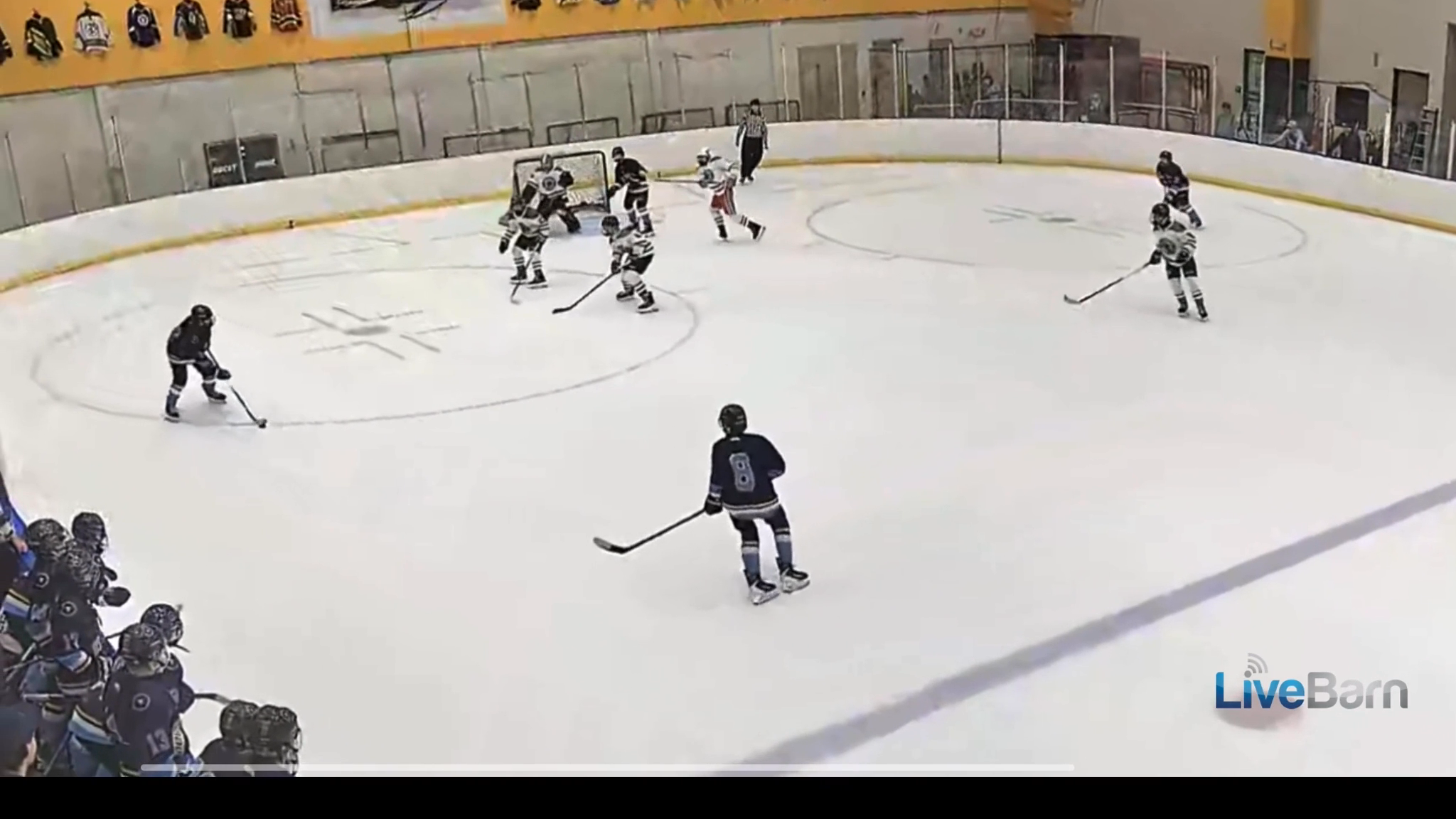 Arthur Getz Delivers Precision Assist for Power Play Goal