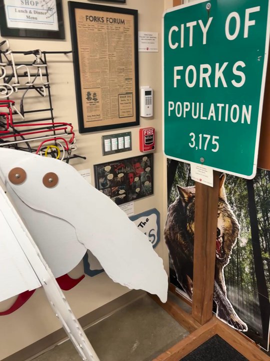 Native to Twilight - Part of the museum! - Art Galleries Near Me - Forks, Washington