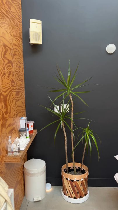 Amanda Ortiz - Acupuncture Near Me - Los Angeles, California