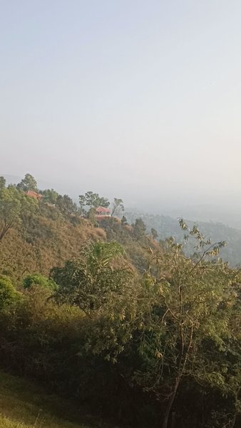 Photo of In the lap of nature