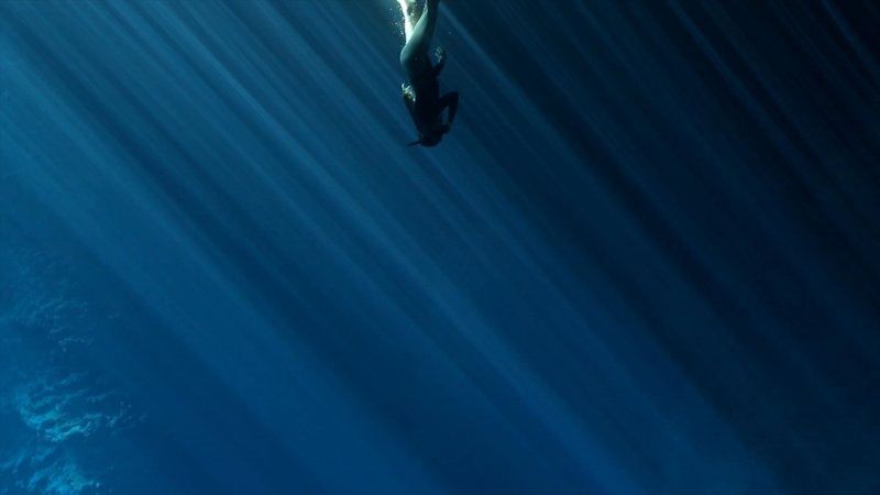 Free Diver poster