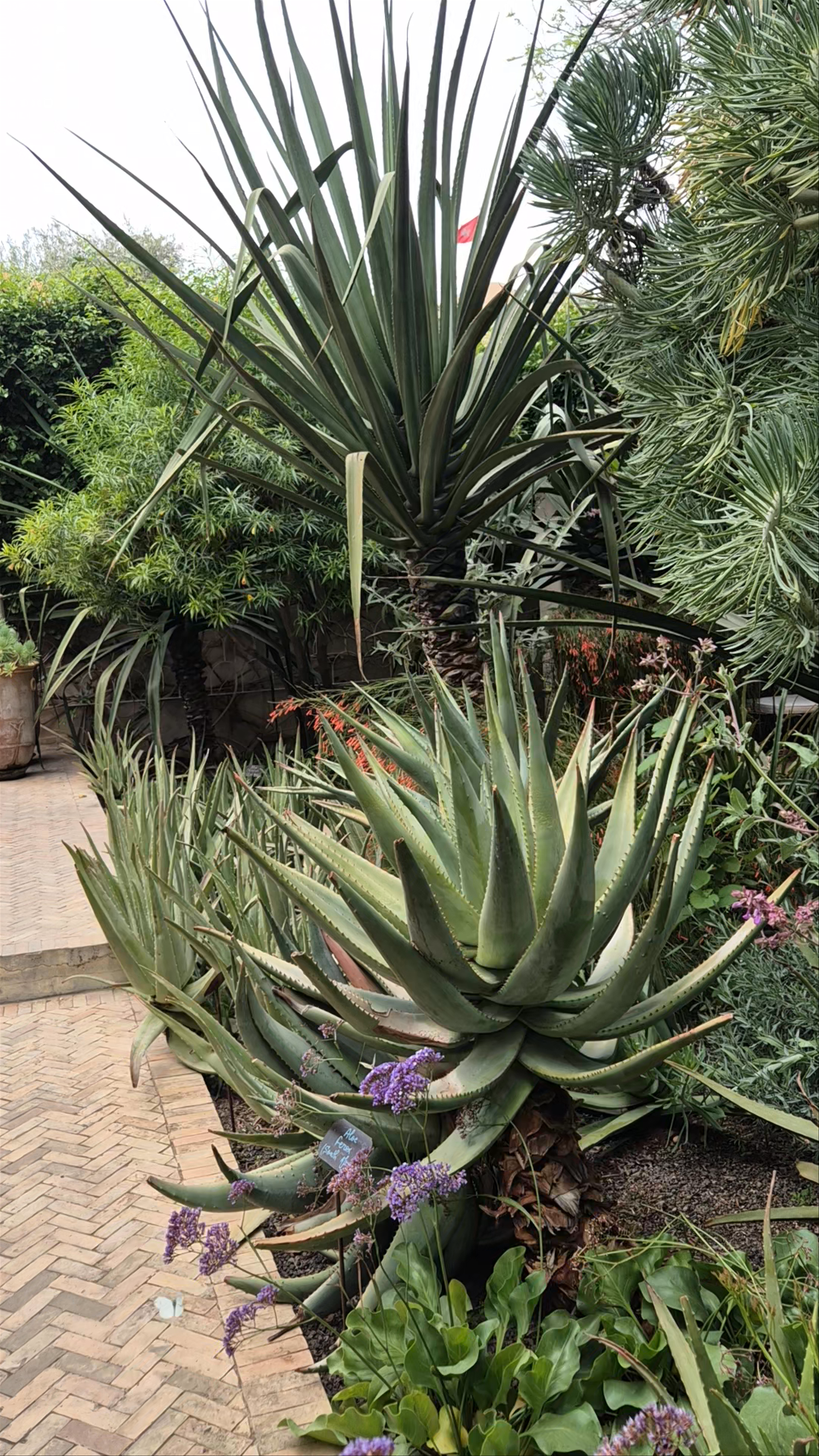 Le Jardin Secret