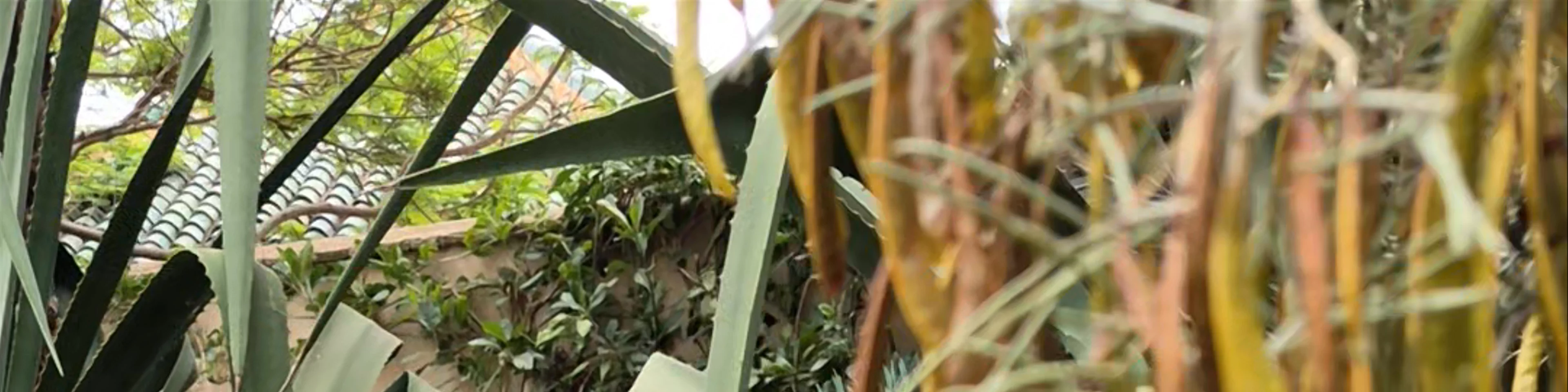 Le Jardin Secret