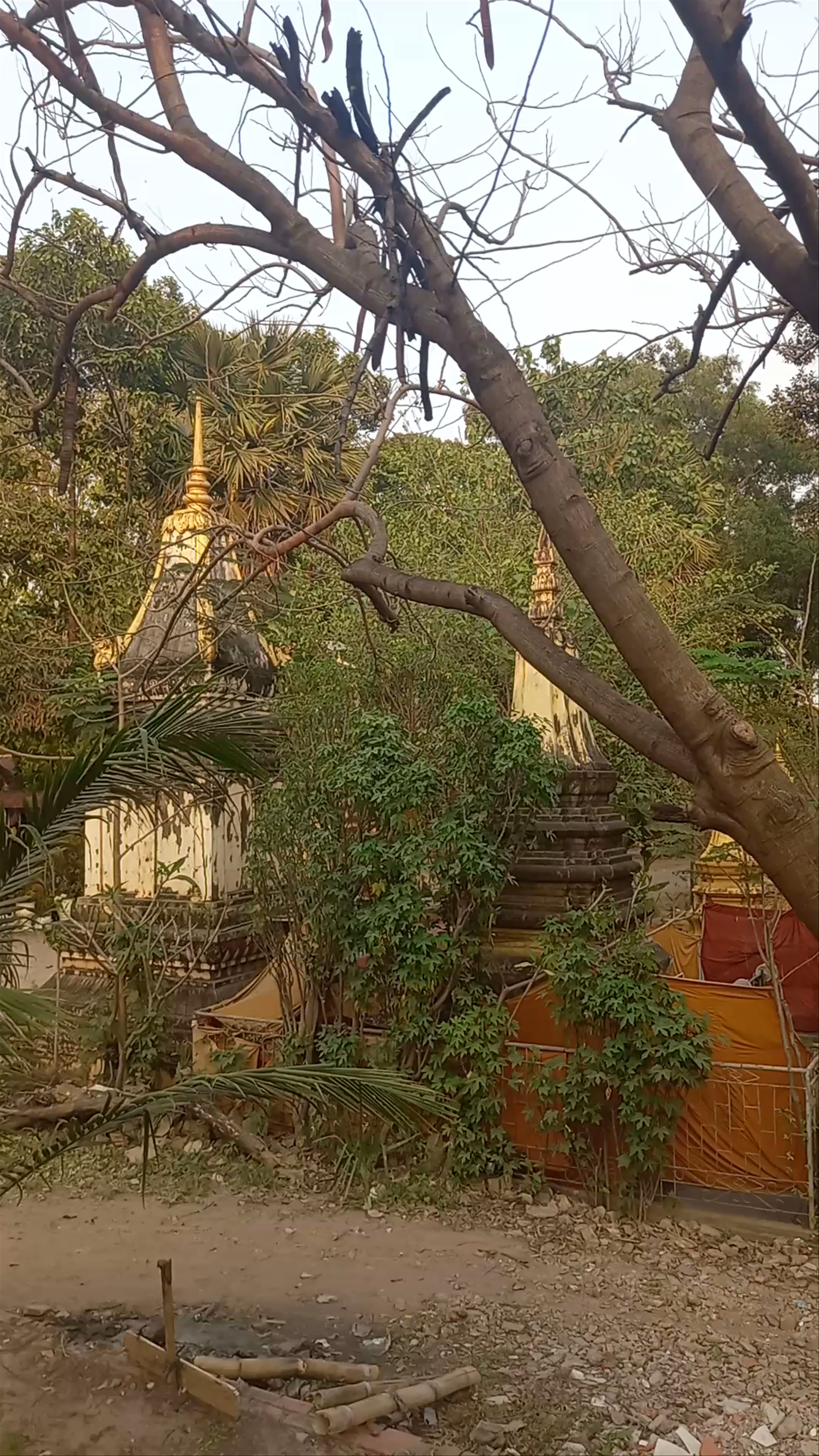 វត្ត​ពោធិលង្កា