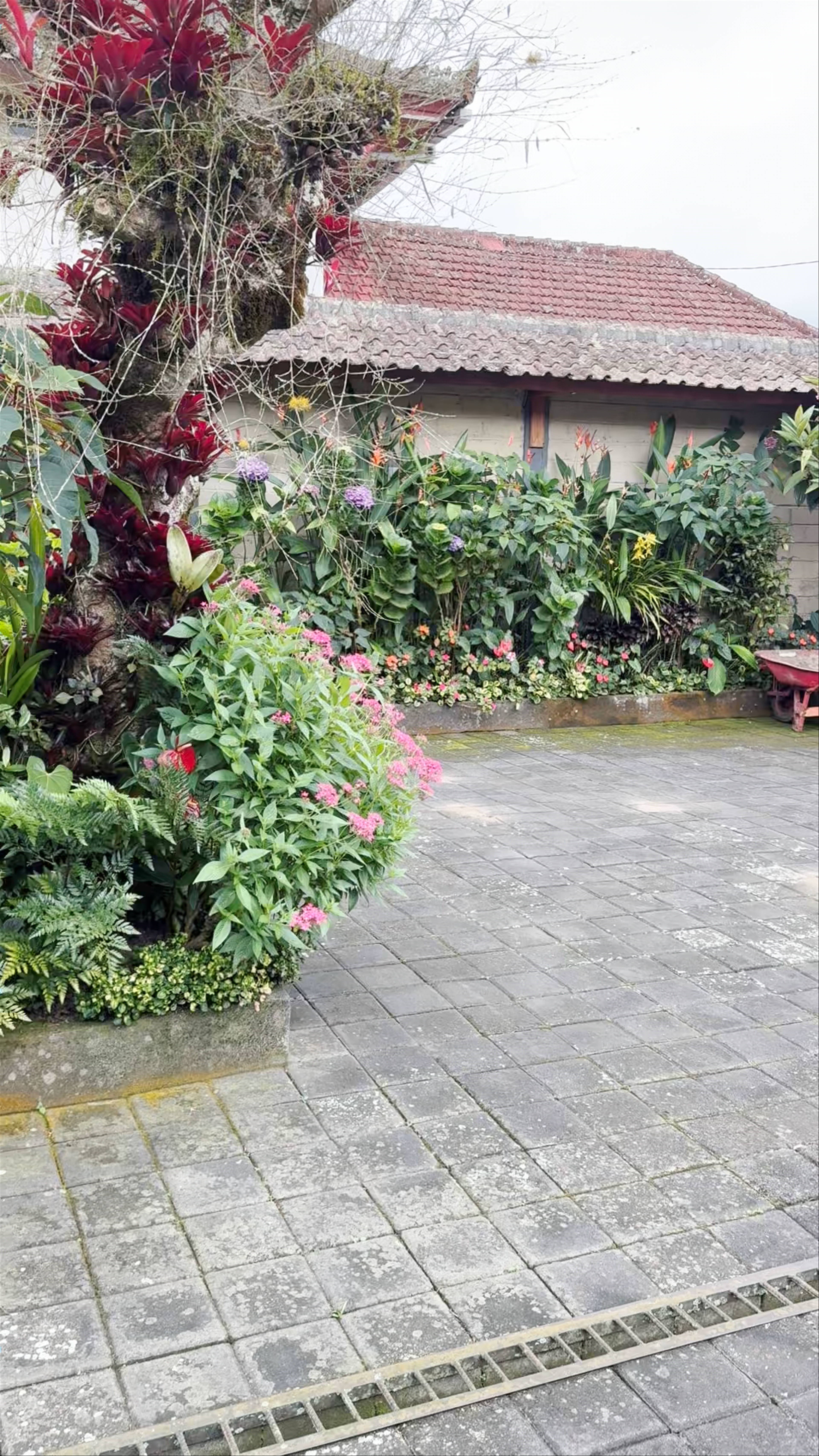 Strawberry Stop: A Serene Morning Oasis in Bali’s Candikuning