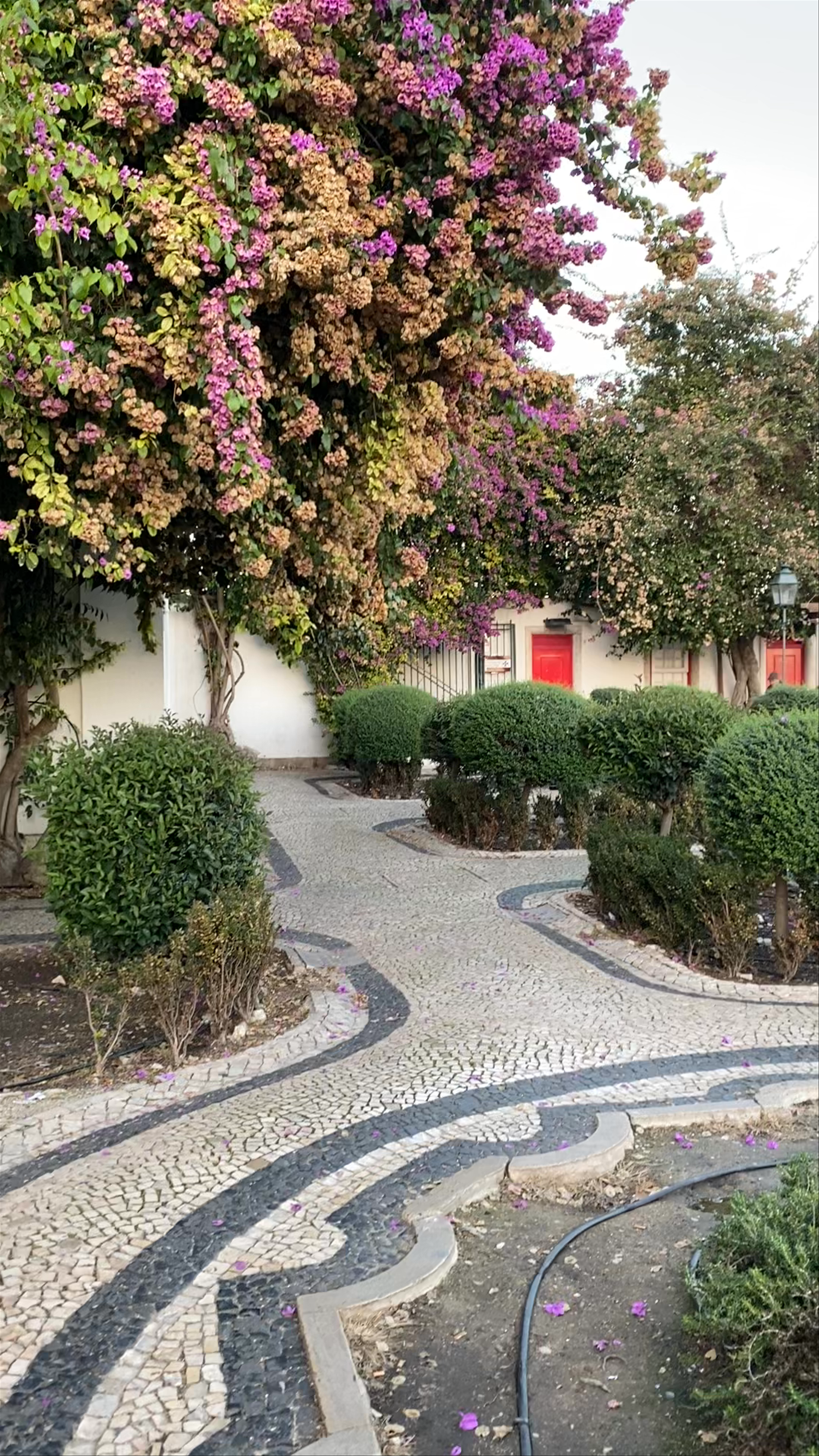 Miradouro de Santa Luzia