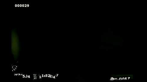 Video Thumbnail Loop