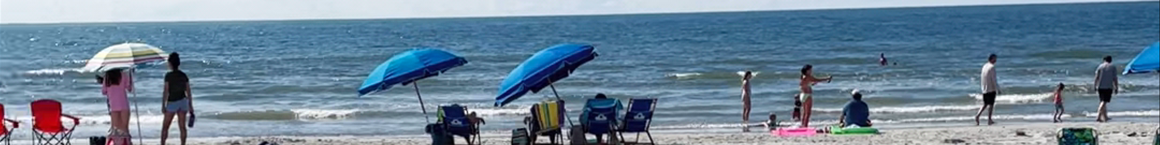 Tours & experiences in Charleston