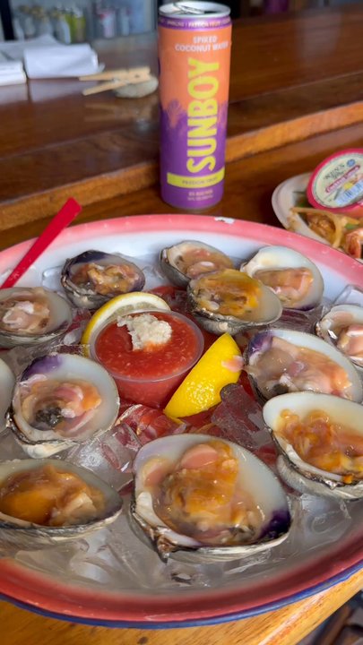 Shuck Shack - Bars Near Me - Oak Bluffs, Massachusetts