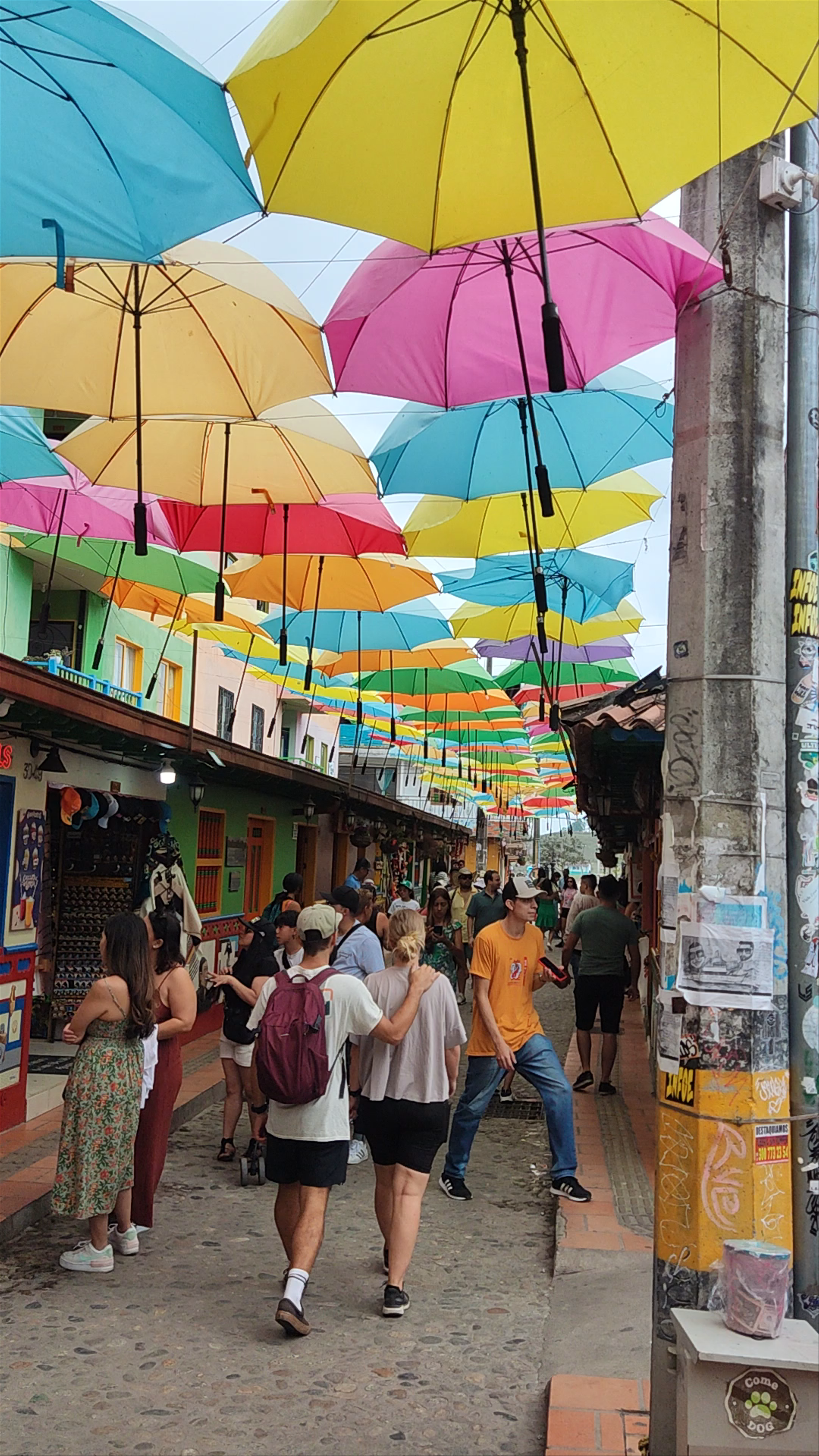 Plazoleta de Los Zócalos