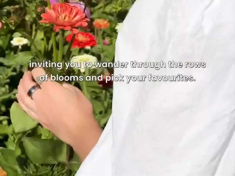 Pick your own flowers