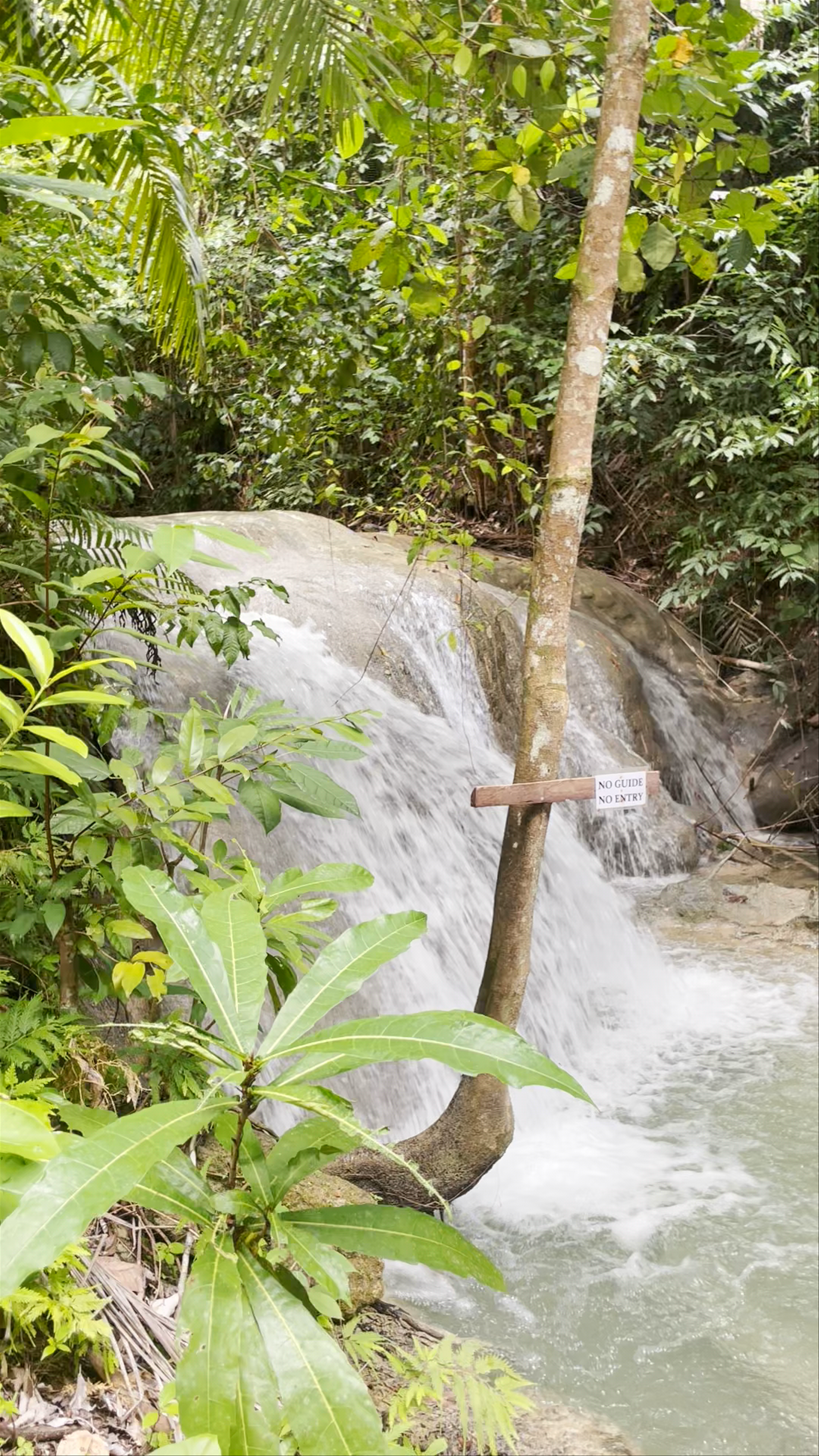 Lugnason Falls